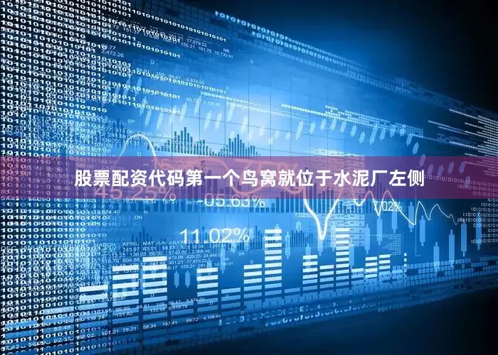 股票配资代码第一个鸟窝就位于水泥厂左侧