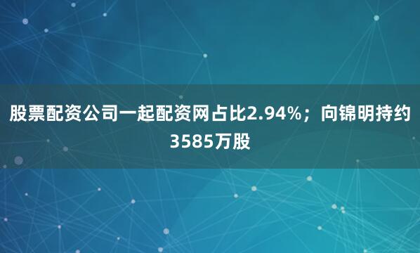 股票配资公司一起配资网占比2.94%；向锦明持约3585万股