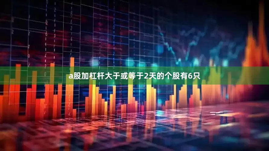 a股加杠杆大于或等于2天的个股有6只