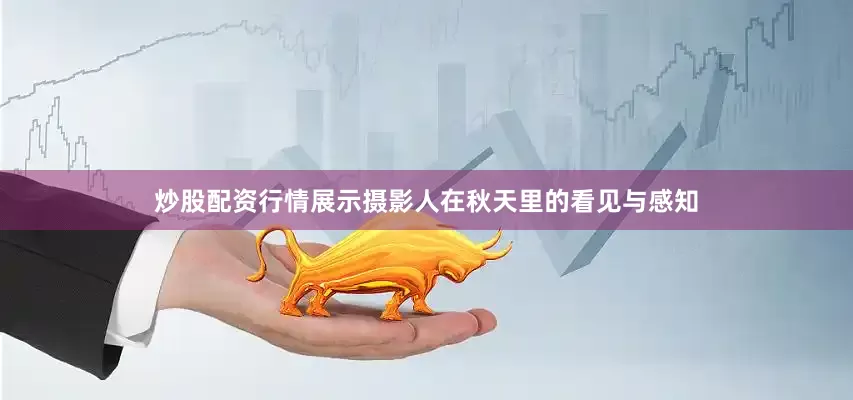 炒股配资行情展示摄影人在秋天里的看见与感知