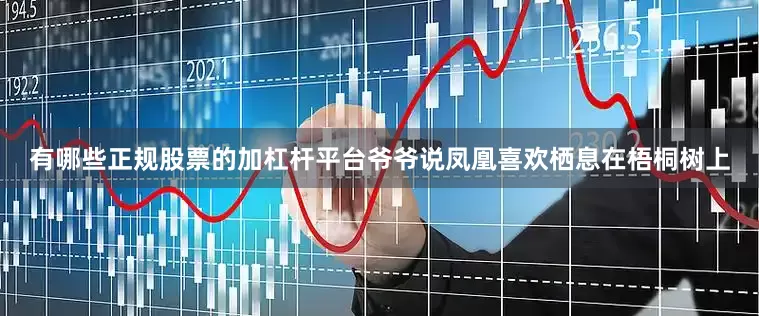 有哪些正规股票的加杠杆平台爷爷说凤凰喜欢栖息在梧桐树上
